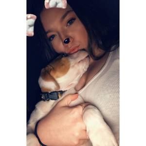 Meet your Posher, Sidney